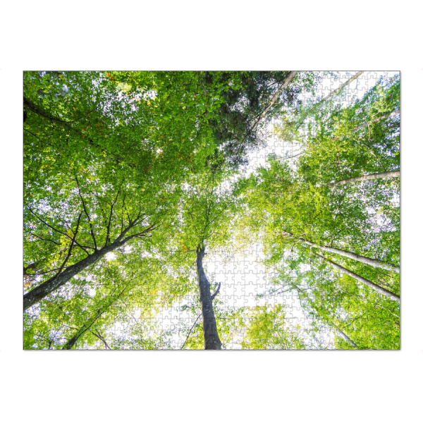 Puzzle Ravensburger "Wald in der Froschperspektive" artboxONE - Natur,Reise,Floral