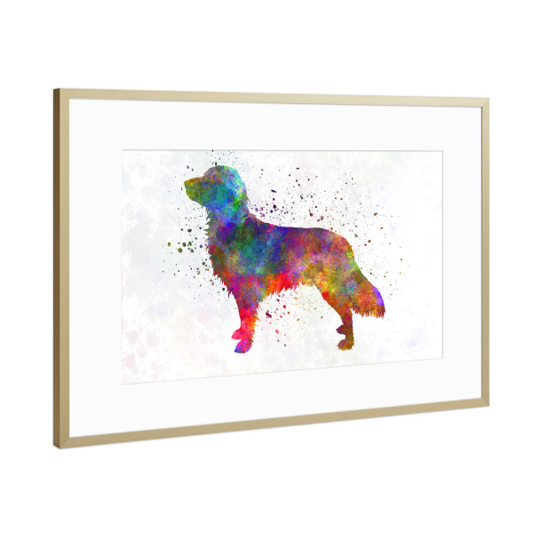 Poster mit Rahmen Gold "Small Munsterlander in watercolor" artboxONE - Tiere,Abstrakt