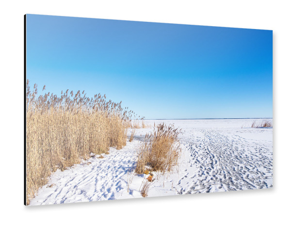 Alu-Dibond "Bodden, Schilf und Schnee" 30x20 cm artboxONE