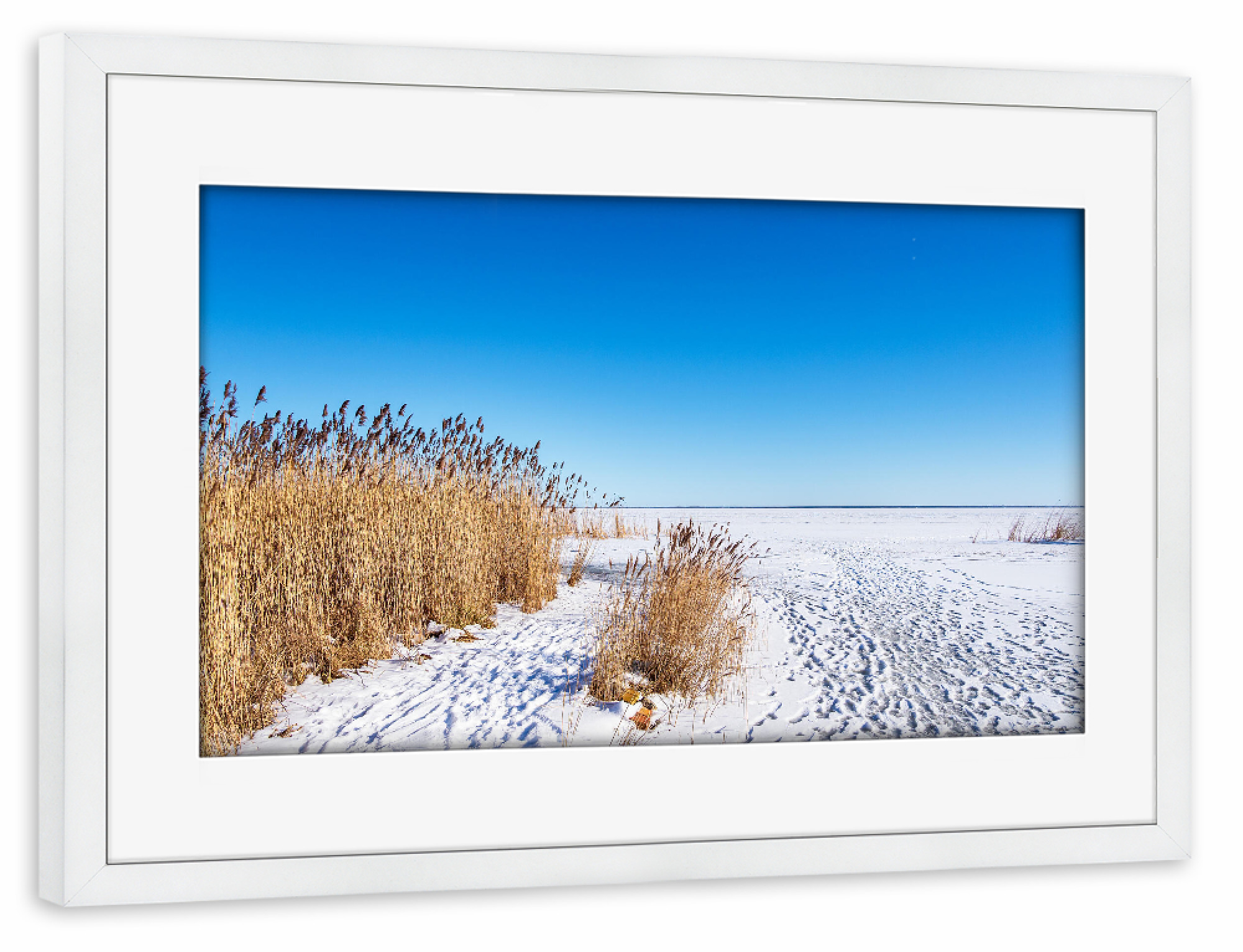 Poster mit Rahmen weiß "Bodden, Schilf und Schnee" artboxONE - Natur,Reise,Reise / Strand und Meer