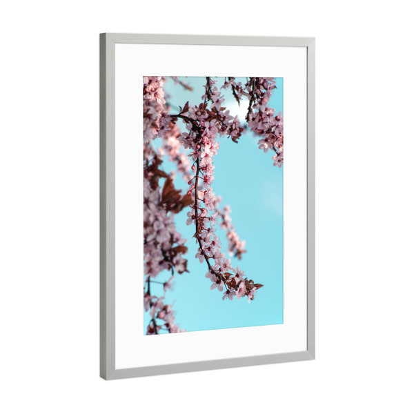 Poster mit Rahmen Silber "Zierpflaume" artboxONE - Floral
