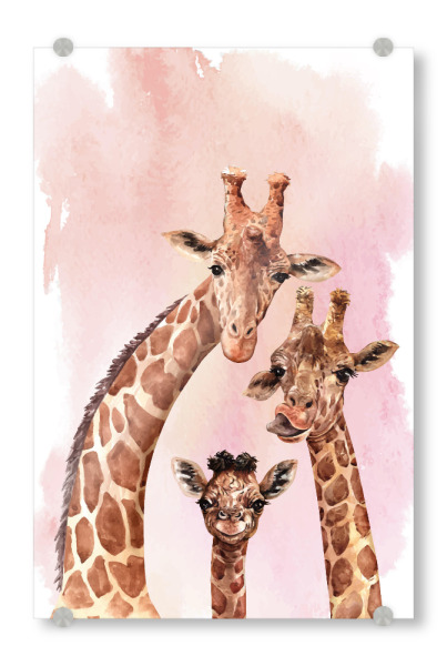 Acrylglasbild "Giraffenfamilie" artboxONE - Natur,Tiere - Vater,Mutter,Kind,Giraffe,Tier,Jungtier,Zoo,Kalb,Kinder,Nursery,Animal,Tiere,Familie,Family