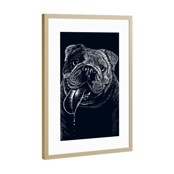 Poster mit Rahmen Gold "Happy Bulldog" artboxONE - Tiere,Lustig - Bulldog,Animal,Pet,Domestic,Breed,Hund,Tier,Lustig,Witzig,Bulldoge,Portrait