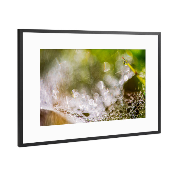 Poster mit Rahmen Schwarz (Metallic) "Im Frühtau" artboxONE - Natur - Wiese,Morgentau,Frühtau,Spinnweben,Altweibersommer