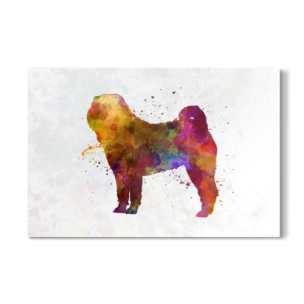 Galerie-Print "Shar Pei in watercolor" 30x20 cm artboxONE