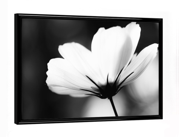 Poster mit schwarzem Rahmen "Lightful" artboxONE - Natur,Floral,Schwarzweiß