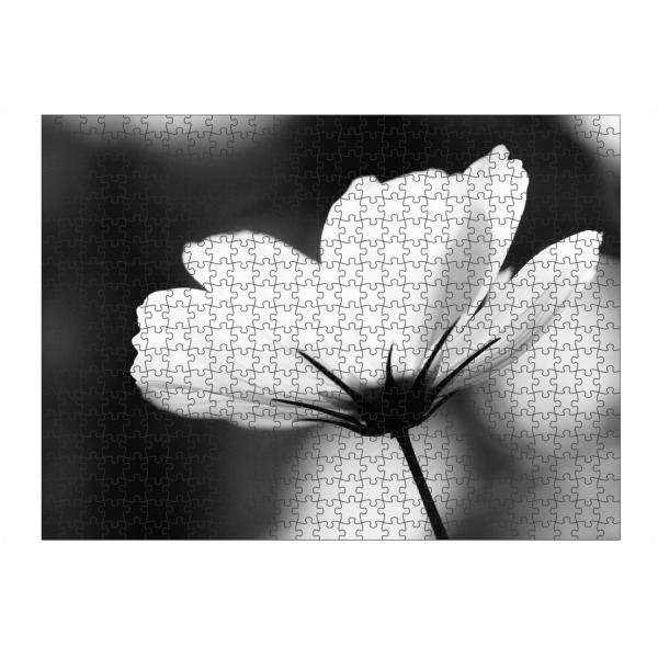 Puzzle Ravensburger "Lightful" artboxONE - Natur,Floral,Schwarzweiß