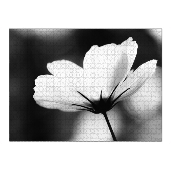 Puzzle Ravensburger "Lightful" artboxONE - Natur,Floral,Schwarzweiß