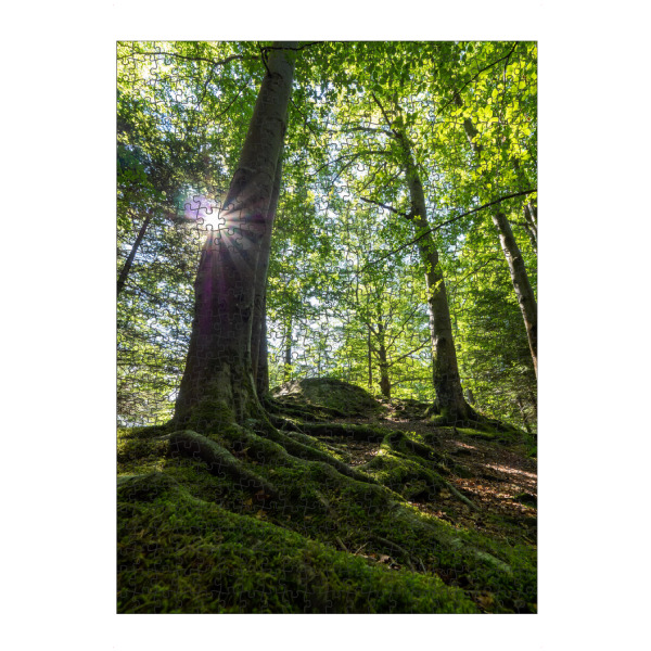 Puzzle Ravensburger "Sommerwald" artboxONE - Natur - Wald,Sommer,Sonne,Blätter,Heimelich,Forest,Natur,Nature,Sun,Bäume,Trees - Bild wald