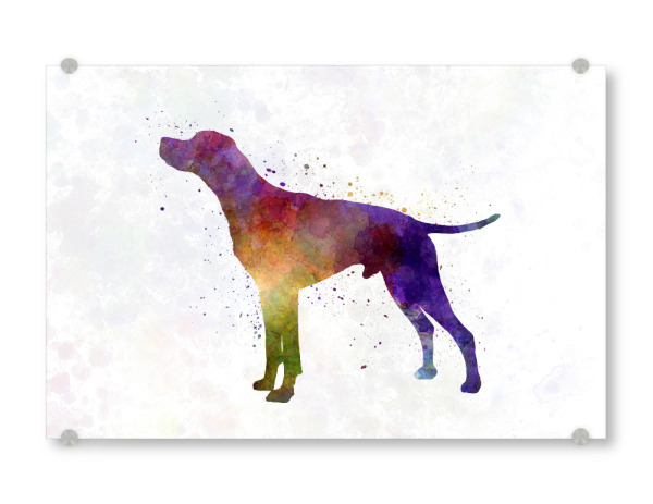 Acrylglasbild "English Pointer in watercolor" artboxONE - Tiere,Abstrakt