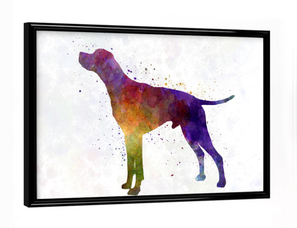 Poster mit schwarzem Rahmen "English Pointer in watercolor" artboxONE - Tiere,Abstrakt