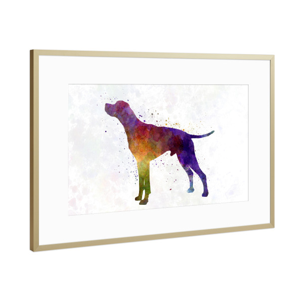 Poster mit Rahmen Gold "English Pointer in watercolor" artboxONE - Tiere,Abstrakt
