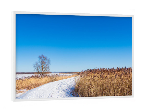 Poster mit weißem Rahmen "Himmel, Weg und Schilf" artboxONE - Natur,Reise