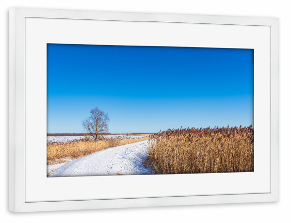 Poster mit Rahmen weiß "Himmel, Weg und Schilf" artboxONE - Natur,Reise