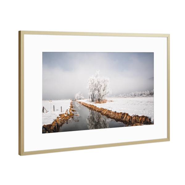 Poster mit Rahmen Gold "Winterliches Naturschutzgebiet" artboxONE - Natur,Reise - See,Bach,Schnee,Baum,Winter,Natur,Nature,Lake,Snow