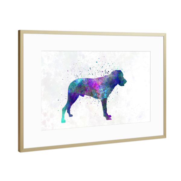 Poster mit Rahmen Gold "Majorca Shepherd Dog" artboxONE - Tiere,Abstrakt - Dog,Pet,Mammal,Watercolor,Abstract,Hund,Tier,Animal,Bunt,Colorful