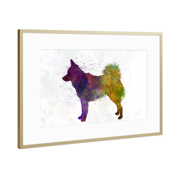 Poster mit Rahmen Gold "Schipperke in watercolor" artboxONE - Tiere,Abstrakt