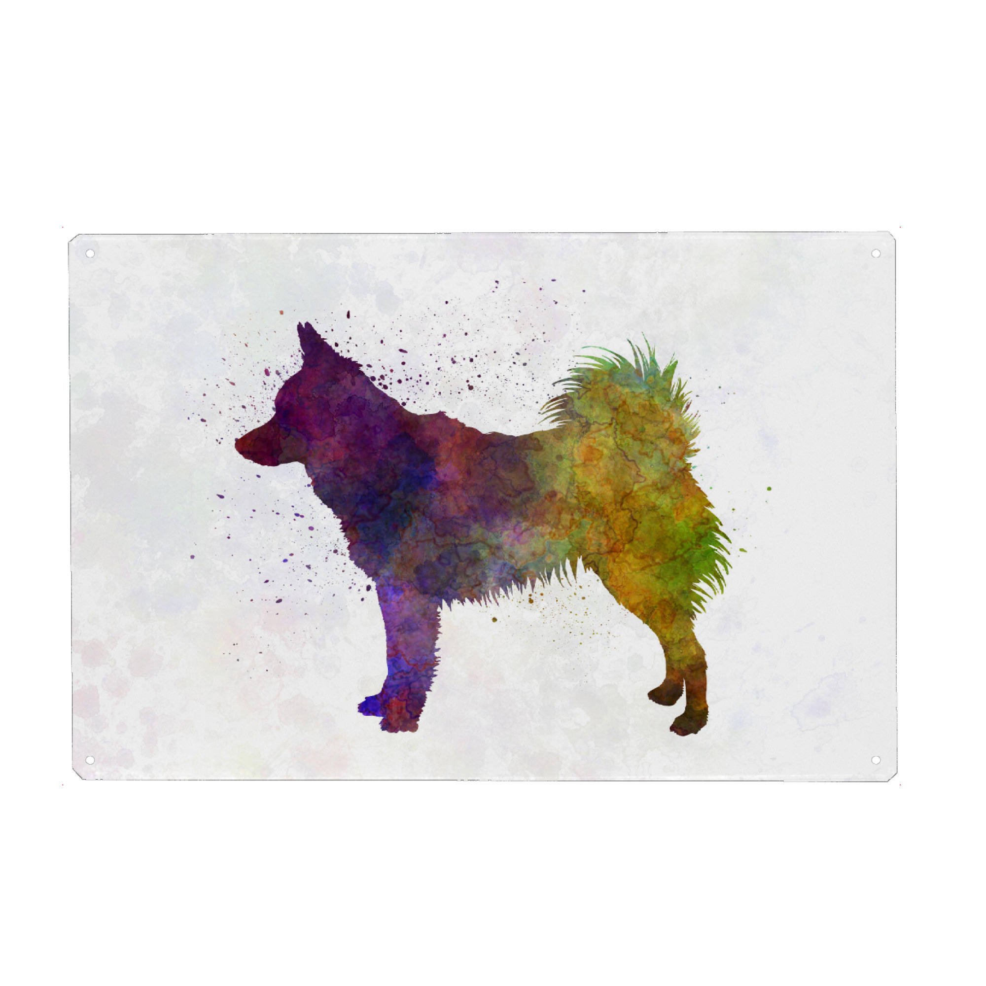Metall Poster "Schipperke in watercolor" artboxONE - Tiere,Abstrakt - Dog,Pet,Mammal,Watercolor,Abstract,Abstrakt,Hund,Animal,Tier,Bunt,Colorful