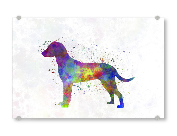 Acrylglasbild "Montenegrin Mountain Hound" artboxONE - Tiere,Abstrakt - Dog,Pet,Animal,Mammal,Watercolor,Abstract,Abstrakt,Hund,Bunt,Colorful