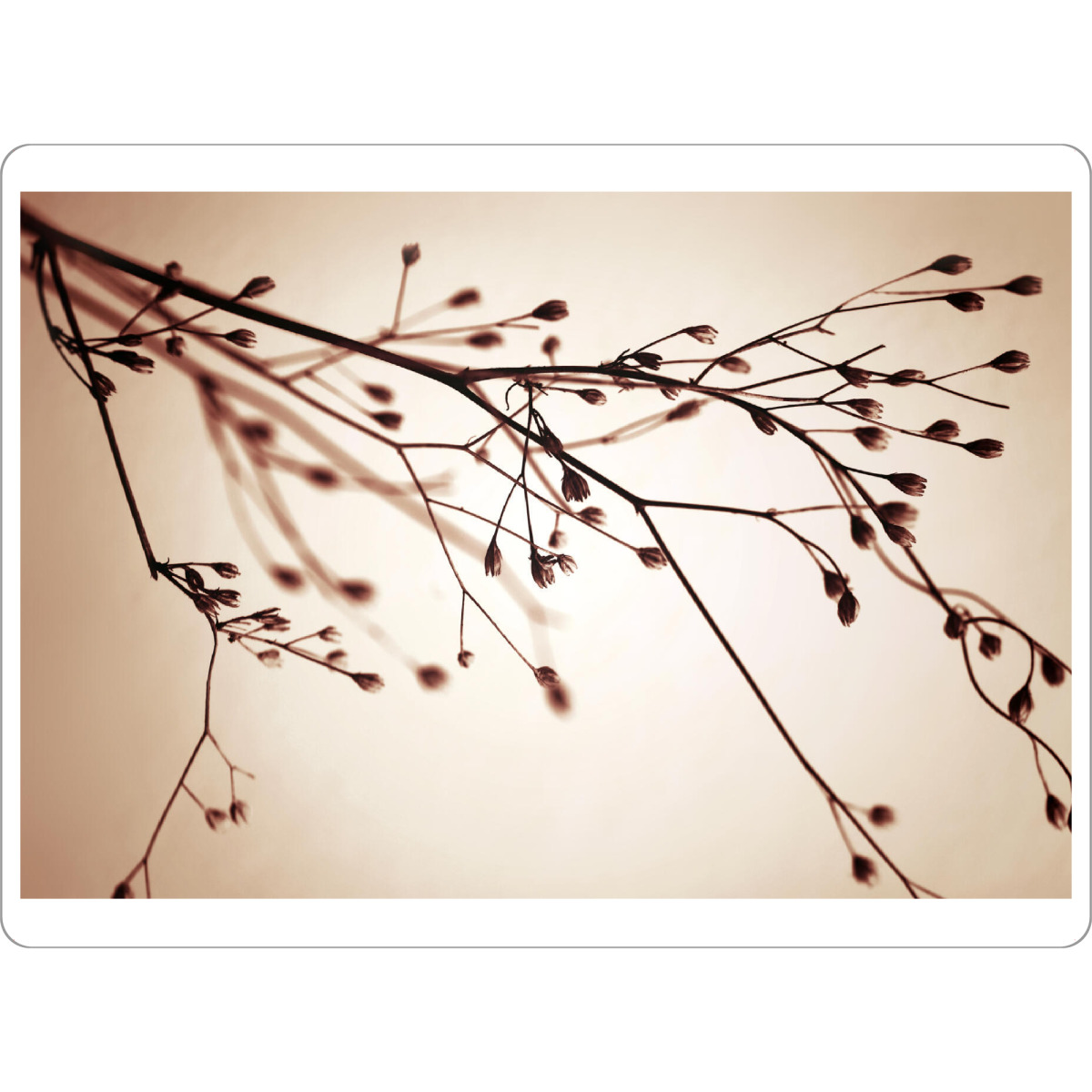 Tischset "Minimalistische Gräser im Sommer" artboxONE - Natur,Floral,Abstrakt