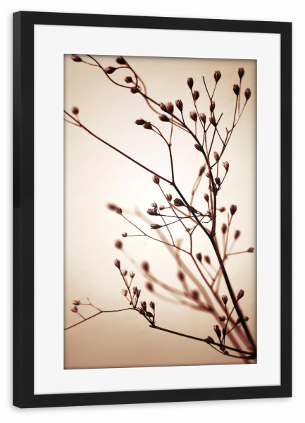 Poster mit Rahmen schwarz "Minimalistische Gräser im Sommer" artboxONE - Natur,Floral,Abstrakt