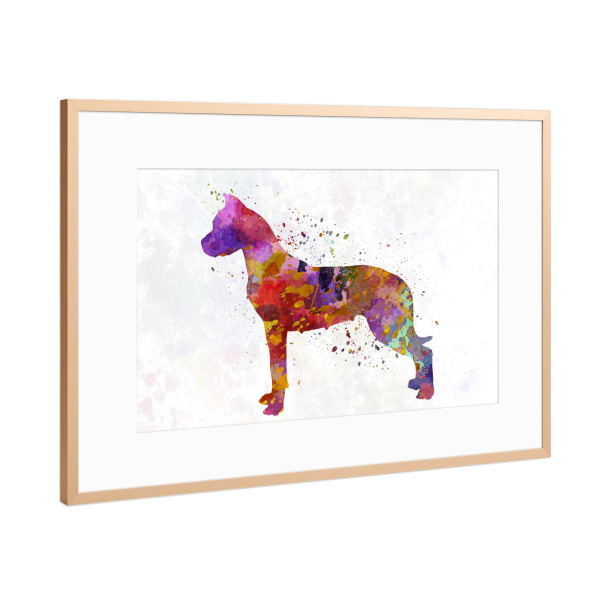 Poster mit Rahmen Kupfer "Dogo Argentino in watercolor" artboxONE - Tiere,Abstrakt