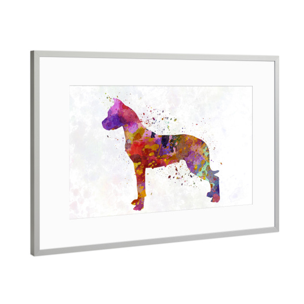 Poster mit Rahmen Silber "Dogo Argentino in watercolor" artboxONE - Tiere,Abstrakt