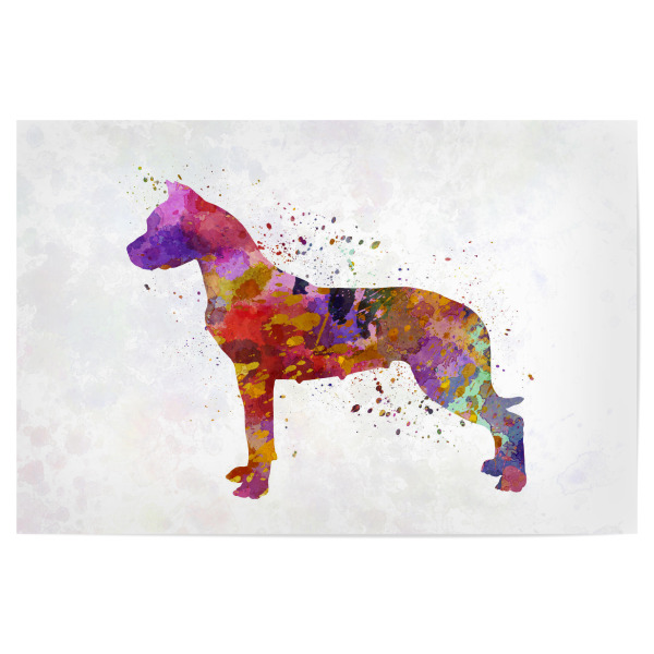 Poster 30x20 cm "Dogo Argentino in watercolor" artboxONE - Tiere,Abstrakt