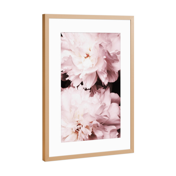 Poster mit Rahmen Kupfer "Peonies close up" artboxONE - Floral - Pink,Rosa,Peony,Pfingstrose,Nostalgie,Flower,Floral,Blume,Flowers,Blüten