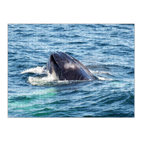 Puzzle Ravensburger "Auftauchender Buckelwal" artboxONE - Natur,Reise,Tiere,Reise / Strand und Meer