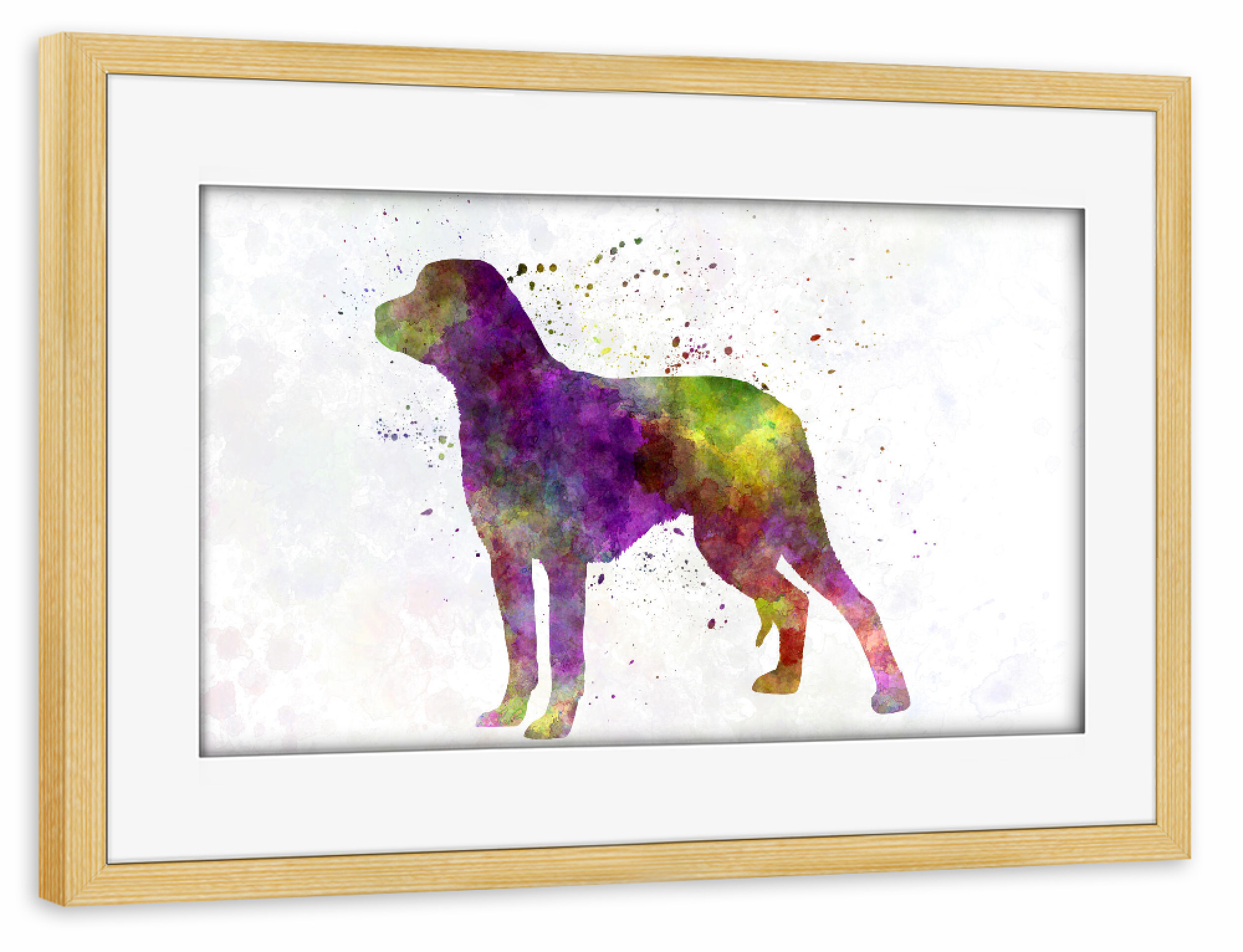 Poster mit Rahmen kiefer "Schillerstovare in watercolor" artboxONE - Tiere,Abstrakt