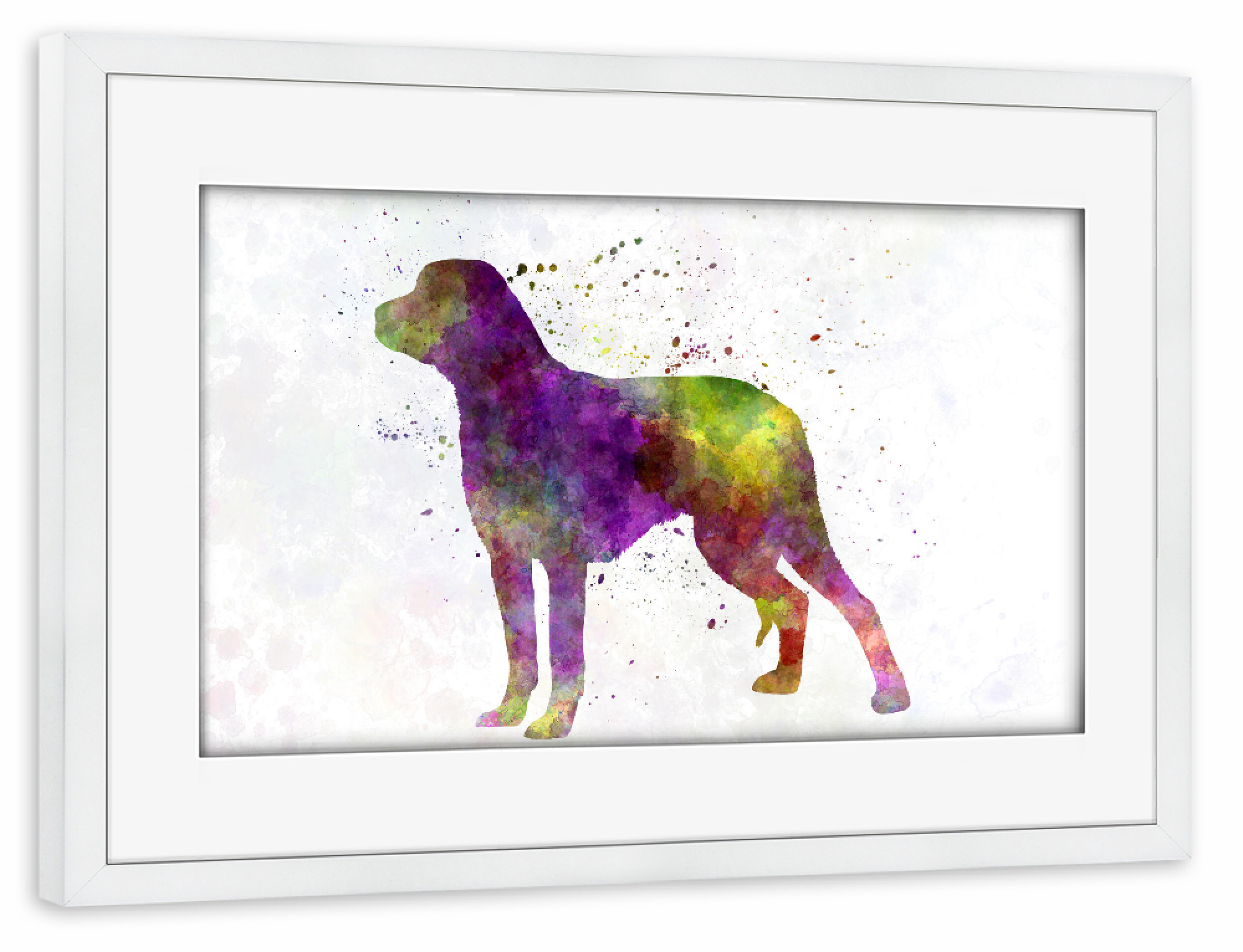 Poster mit Rahmen weiß "Schillerstovare in watercolor" artboxONE - Tiere,Abstrakt