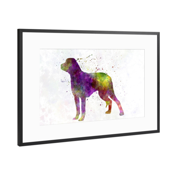 Poster mit Rahmen Schwarz (Metallic) "Schillerstovare in watercolor" artboxONE - Tiere,Abstrakt