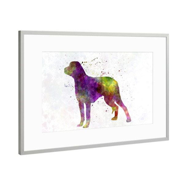 Poster mit Rahmen Silber "Schillerstovare in watercolor" artboxONE - Tiere,Abstrakt