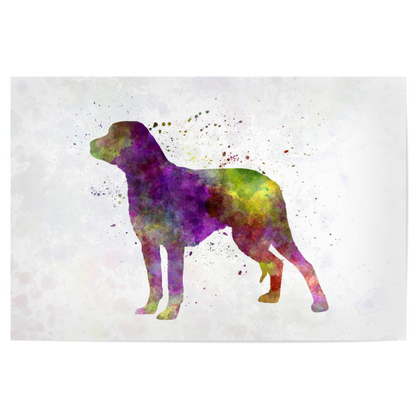 Poster "Schillerstovare in watercolor" artboxONE - Tiere,Abstrakt - Dog,Dogs,Pet,Animal,Mammal,Watercolor,Illustration,Abstract,Hund,Bunt,Colorful