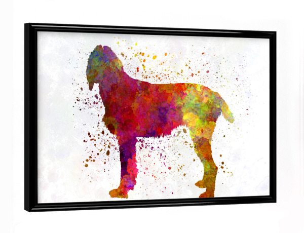 Poster mit schwarzem Rahmen "Pudelpointer in watercolor" artboxONE - Tiere,Abstrakt