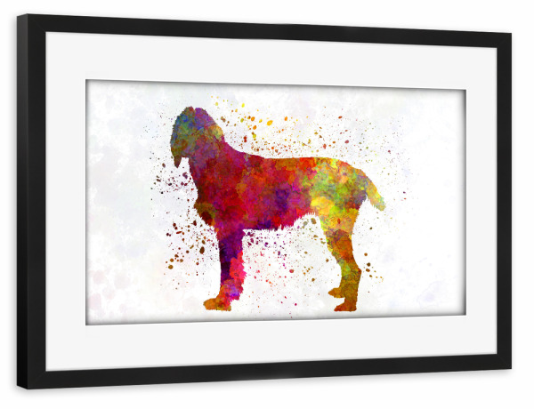 Poster mit Rahmen schwarz "Pudelpointer in watercolor" artboxONE - Tiere,Abstrakt