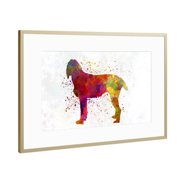 Poster mit Rahmen Gold "Pudelpointer in watercolor" artboxONE - Tiere,Abstrakt