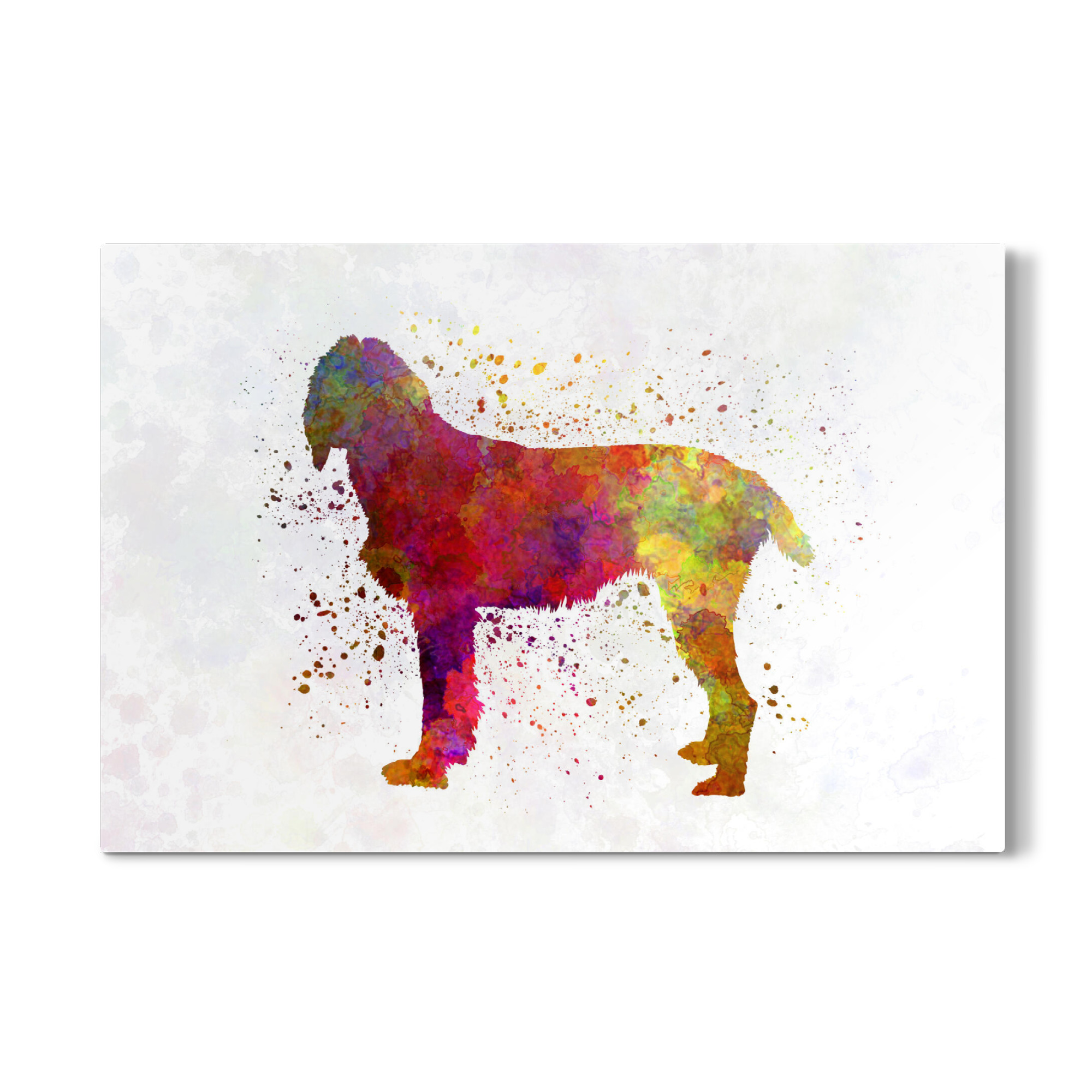 Galerie-Print "Pudelpointer in watercolor" 75x50 cm artboxONE