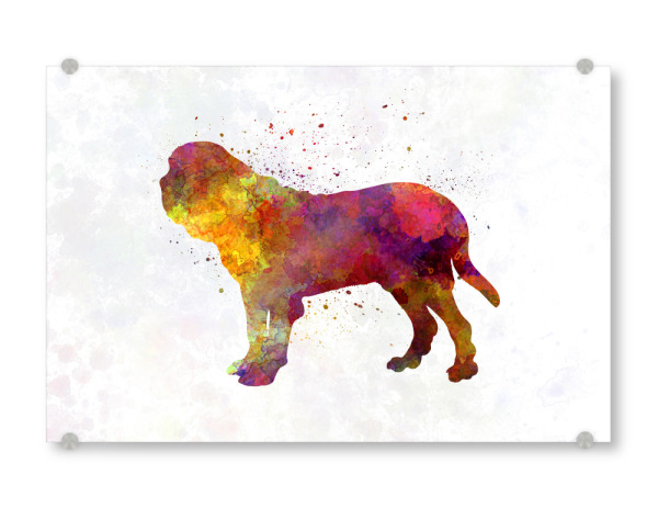 Acrylglasbild "Fila Brasileiro in watercolor" artboxONE - Tiere,Abstrakt