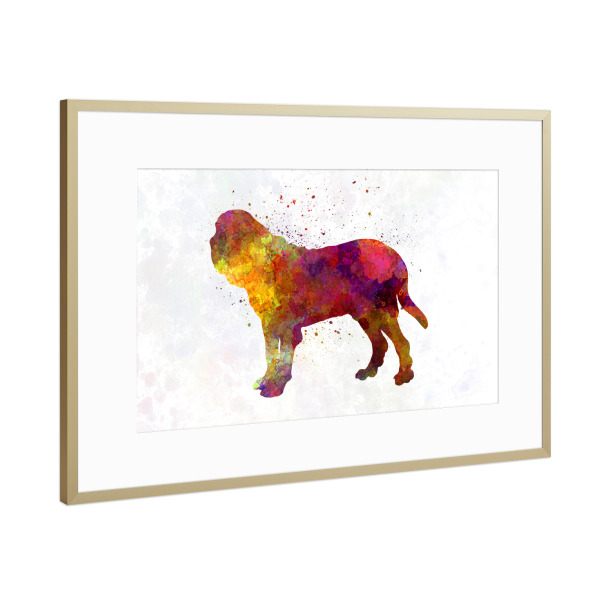 Poster mit Rahmen Gold "Fila Brasileiro in watercolor" artboxONE - Tiere,Abstrakt