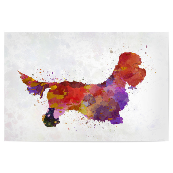 Poster 30x20 cm "Dandie Dinmont terrier" artboxONE - Tiere,Abstrakt