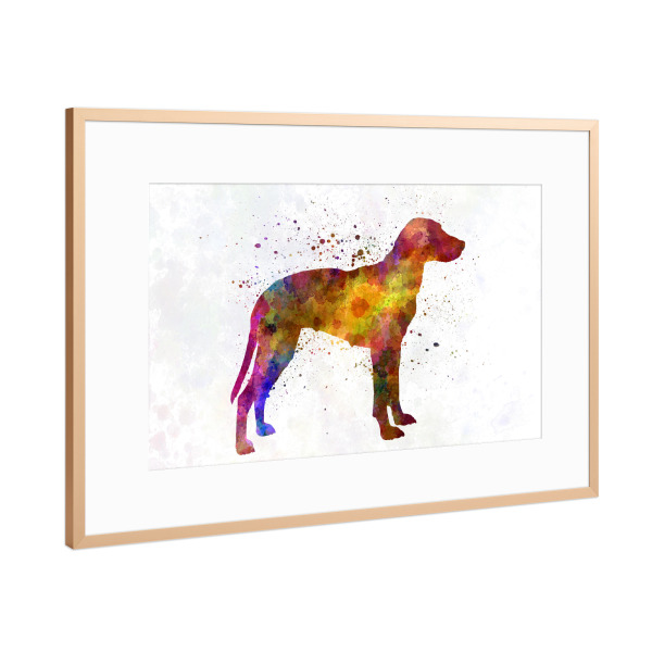 Poster mit Rahmen Kupfer "Hygen Hound dog" artboxONE - Tiere,Abstrakt - Dog,Dogs,Pet,Animal,Mammal,Watercolor,Dog poster,Illustration,Abstract