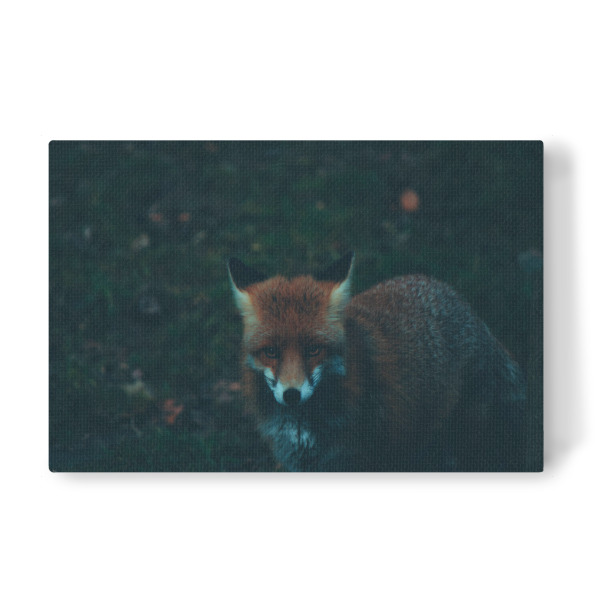 Leinwandbild "Fuchs neben Baumstamm" artboxONE - Natur,Tiere