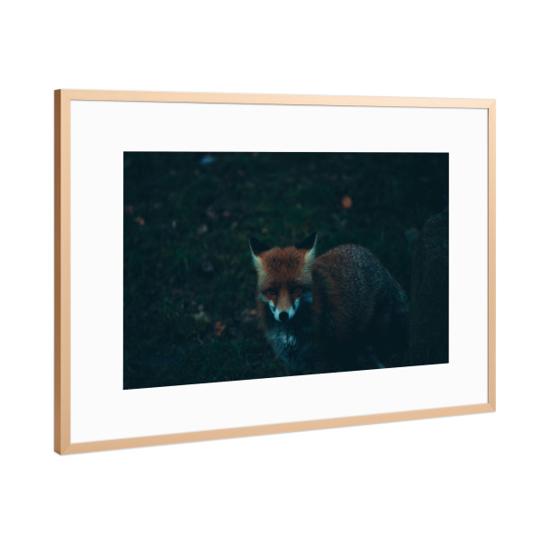 Poster mit Rahmen Kupfer "Fuchs neben Baumstamm" artboxONE - Natur,Tiere