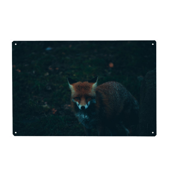 Holzbild "Fuchs neben Baumstamm" artboxONE - Natur,Tiere