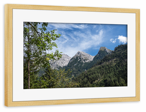 Poster mit Rahmen kiefer "Baum, Wald und Berge" artboxONE - Natur,Reise
