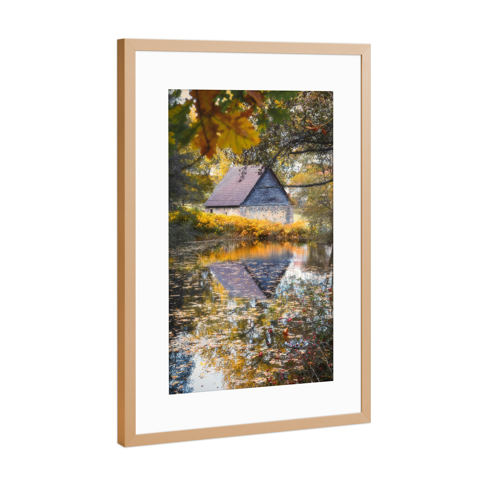 Poster mit Rahmen Kupfer "Herbst Zauber" artboxONE - Natur,Floral