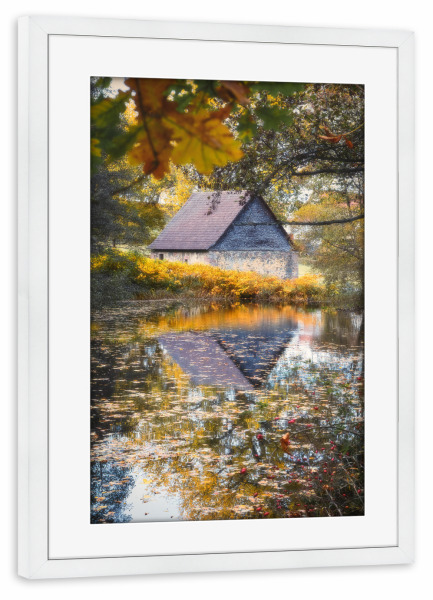 Poster mit Rahmen weiß "Herbst Zauber" artboxONE - Natur,Floral