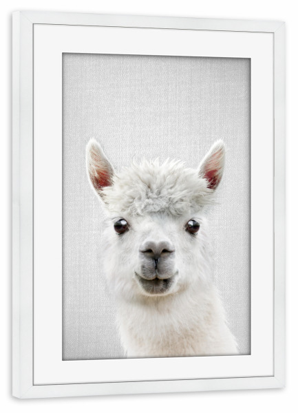 Poster mit Rahmen weiß "Llama - Colorful" artboxONE - Natur,Für Kinder,Tiere,Liebe
